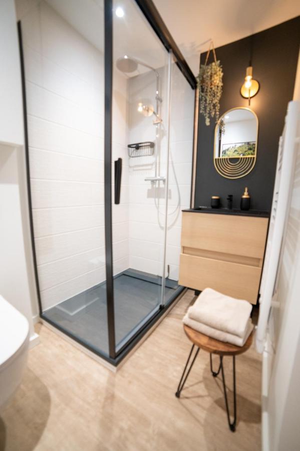 T2 Lumineux - Renove- - Centre Historique Dinan- Parking - Terrasse Dinan